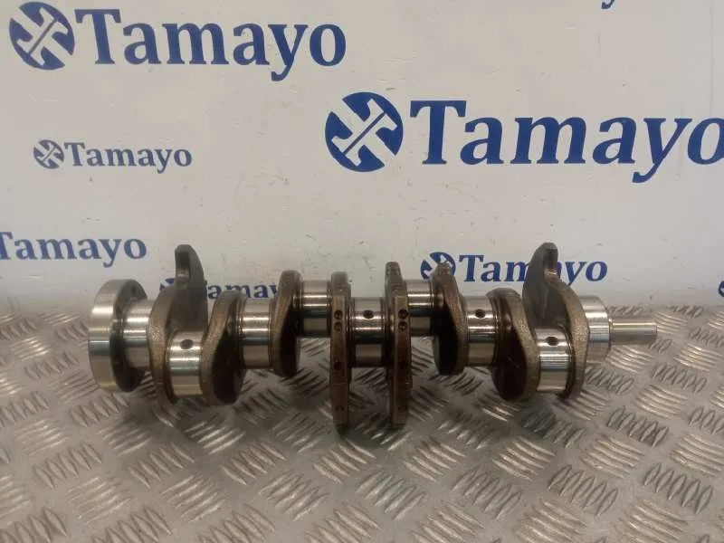 Ciguenal para Audi A3 Sportback (8P)