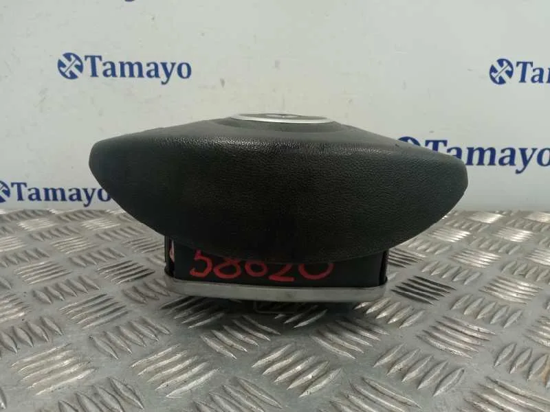 Airbag Delantero Izquierdo para Renault Clio Iii