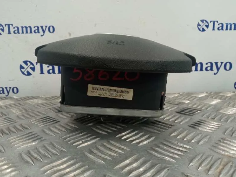 Airbag Delantero Izquierdo para Renault Clio Iii