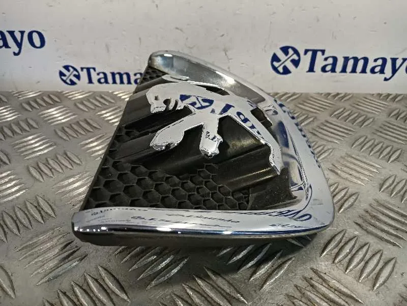Rejilla Delantera para Peugeot 207