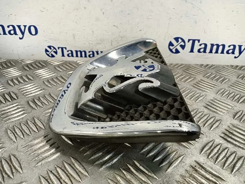 Rejilla Delantera para Peugeot 207