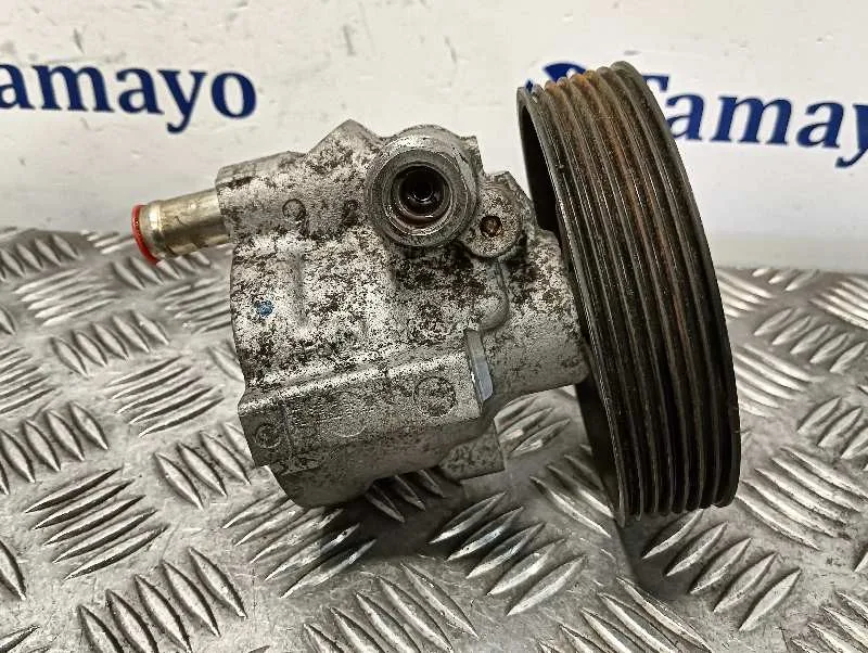 Bomba Direccion para Renault Laguna Ii (Bg0)