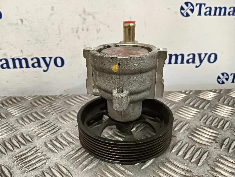 Bomba Direccion para Renault Laguna Ii (Bg0)
