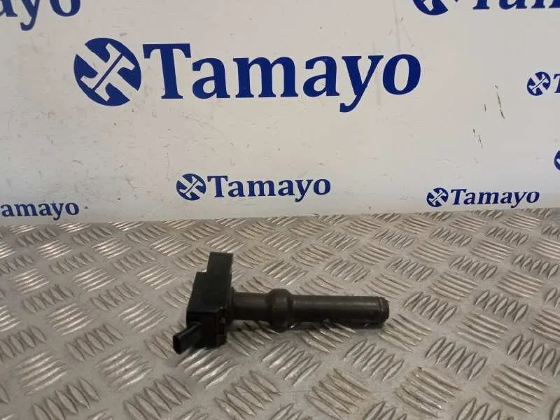 Bobina Encendido para Ford Tourneo Connect