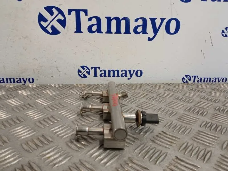 Rampa Inyectora para Ford Tourneo Connect