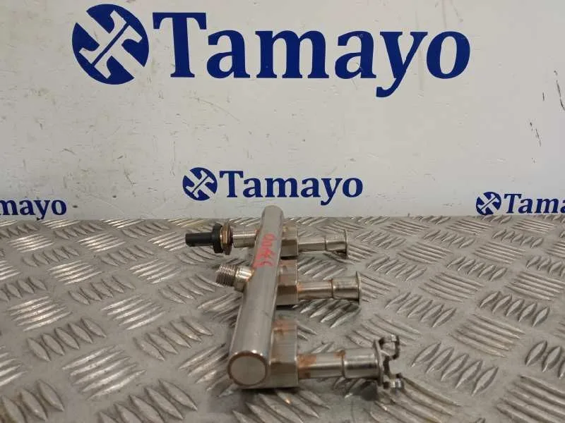 Rampa Inyectora para Ford Tourneo Connect