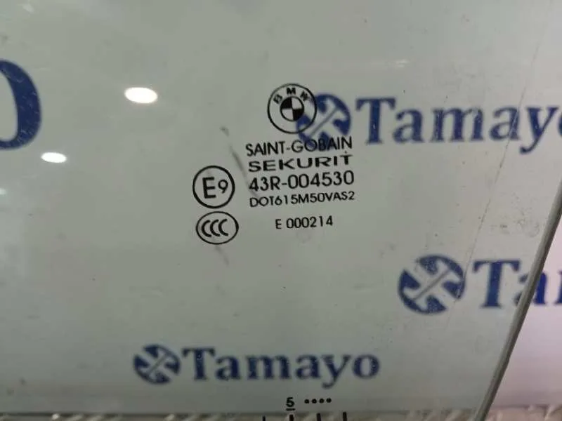 Luna Delantera Izquierda para Bmw X6 (F16, F86)