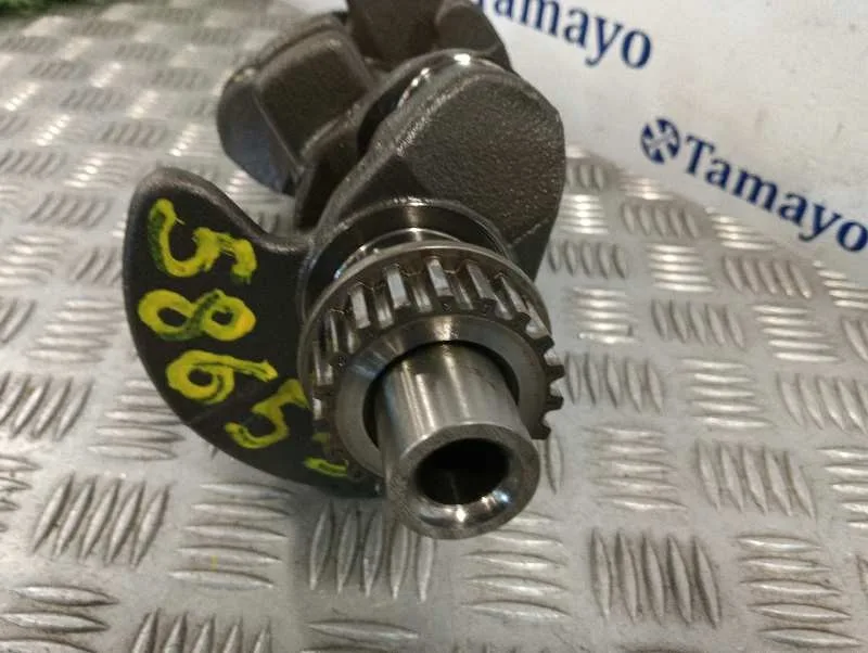 Ciguenal para Ford Tourneo Connect