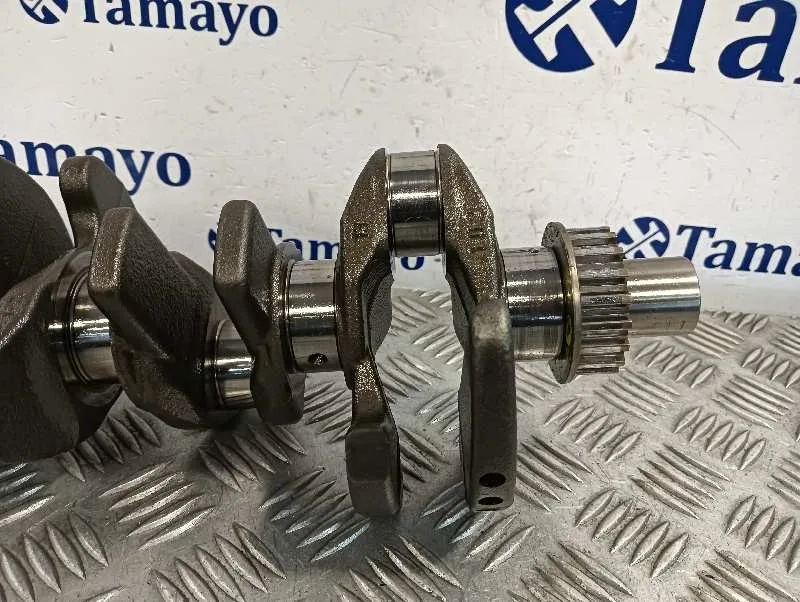Ciguenal para Ford Tourneo Connect