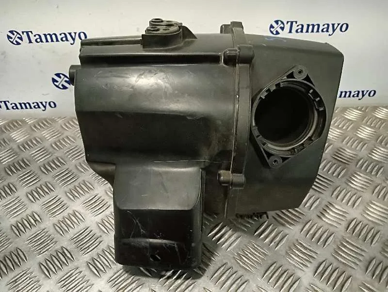 Carcasa Filtro Aire para Seat Toledo (5P2)