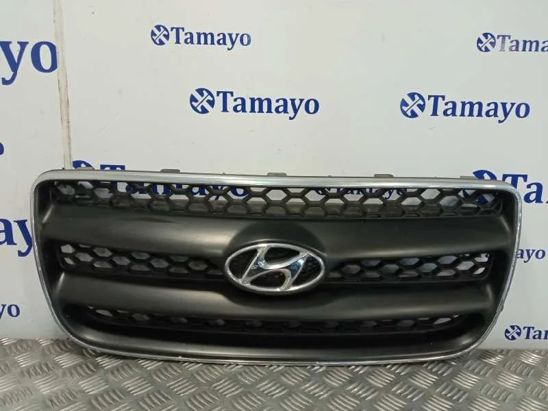 Rejilla Delantera para Hyundai Santa Fe (Bm)