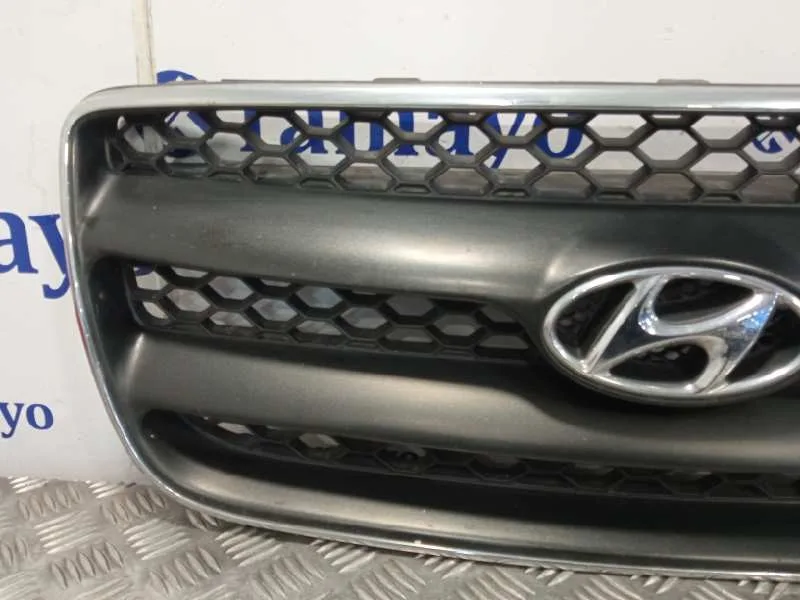Rejilla Delantera para Hyundai Santa Fe (Bm)