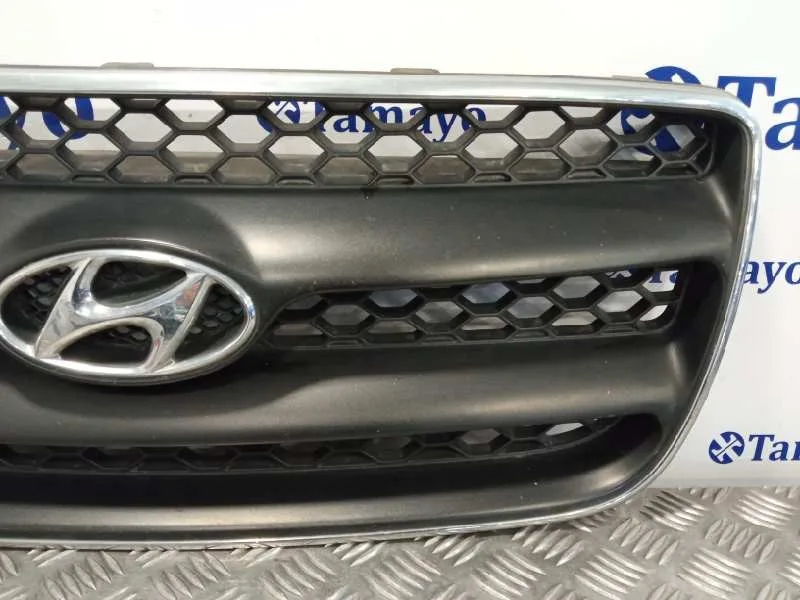 Rejilla Delantera para Hyundai Santa Fe (Bm)