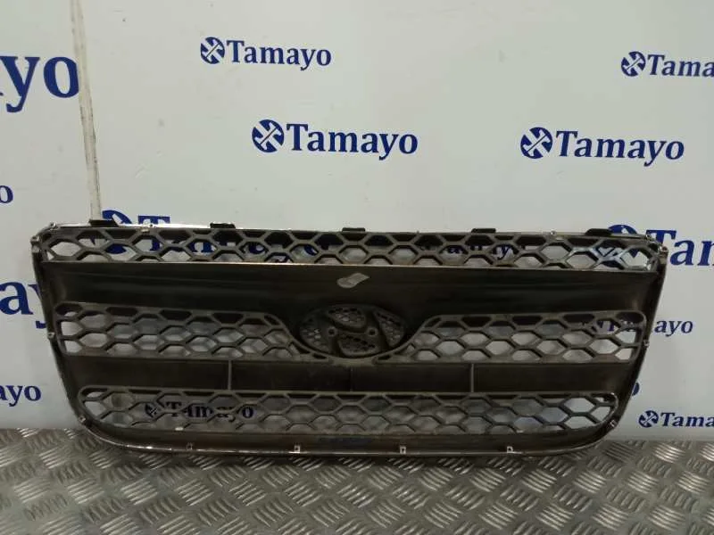 Rejilla Delantera para Hyundai Santa Fe (Bm)
