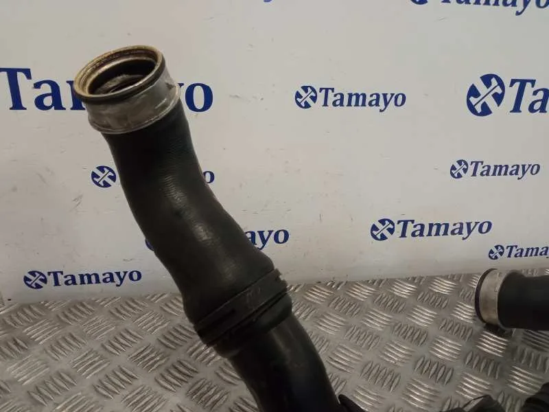 Tubo Presion Turbocompresor para Citroën Berlingo