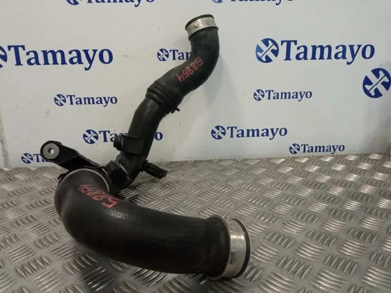 Tubo Presion Turbocompresor para Citroën Berlingo