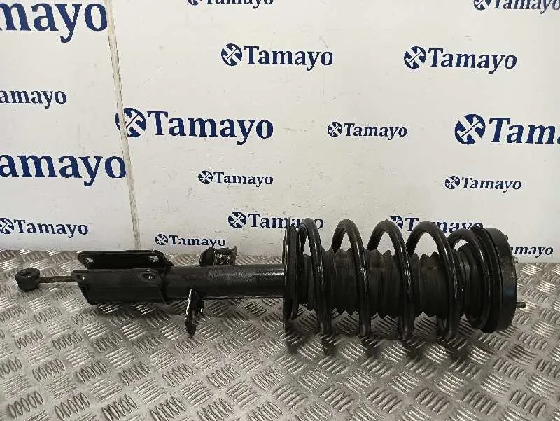 Amortiguador Delantero Izquierdo para Bmw X5 (E53)