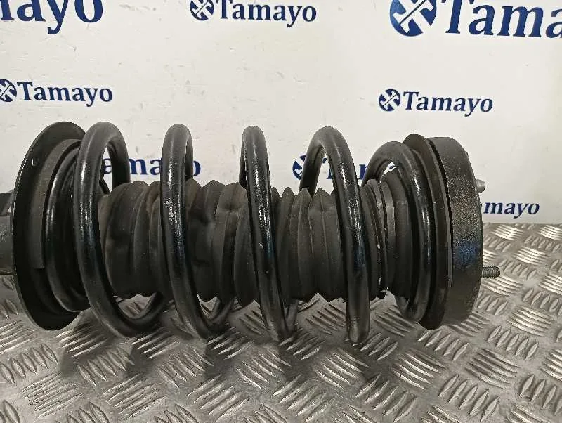 Amortiguador Delantero Izquierdo para Bmw X5 (E53)