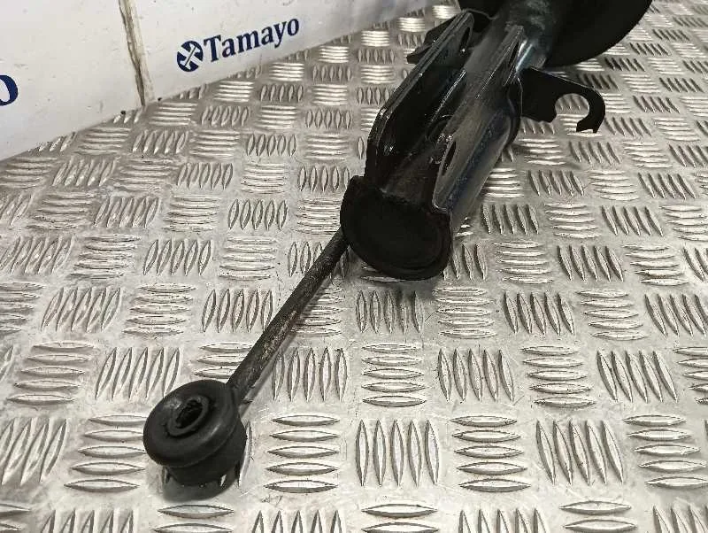 Amortiguador Delantero Izquierdo para Bmw X5 (E53)
