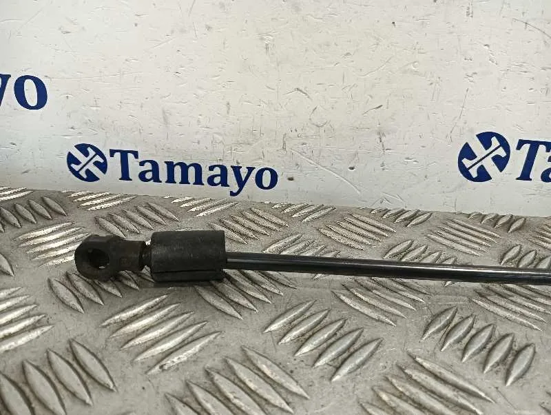 Amortiguadores Capo para Dacia Sandero