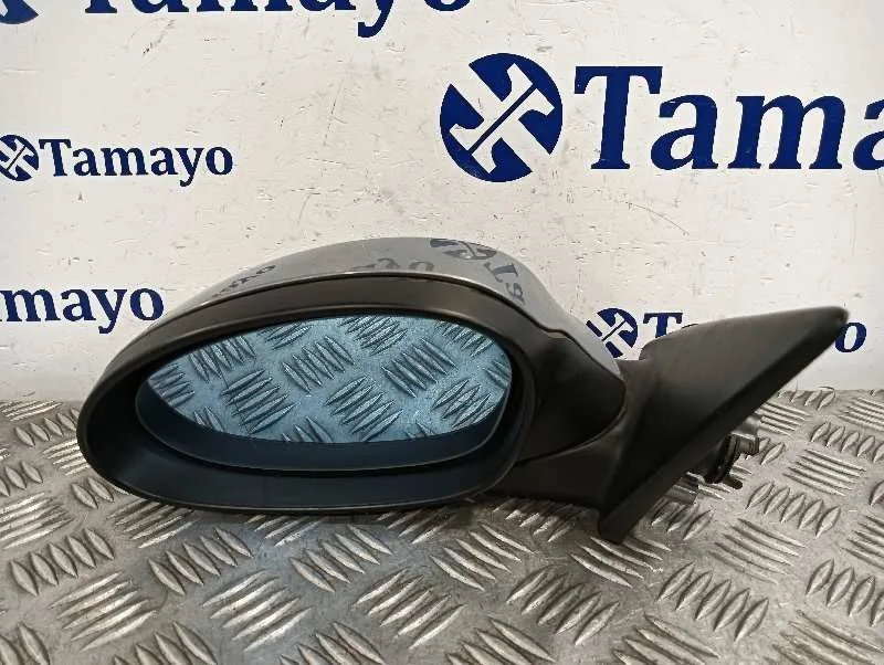 Retrovisor Izquierdo para Bmw Serie 3 Berlina (E90)