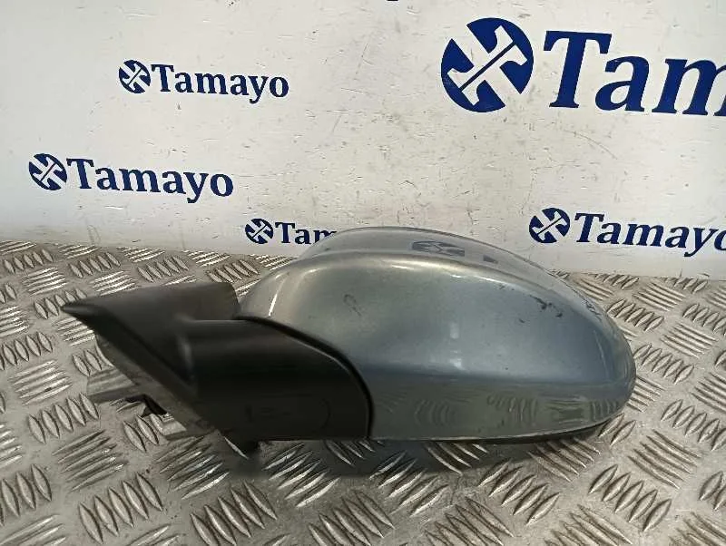 Retrovisor Izquierdo para Bmw Serie 3 Berlina (E90)
