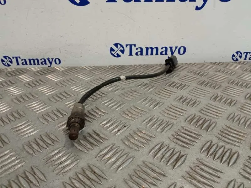Sonda Lambda para Peugeot Partner Kombi