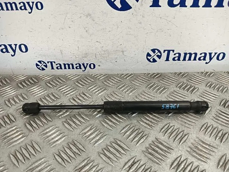 Amortiguadores Maletero / Porton para Audi A4 Berlina (8E)