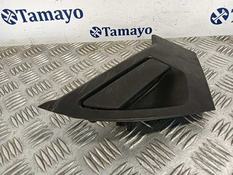 Maneta Exterior Trasera Izquierda para Nissan Juke (F15)
