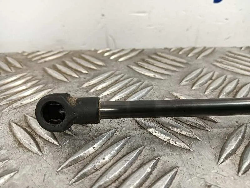 Amortiguadores Maletero / Porton para Nissan Juke (F15)