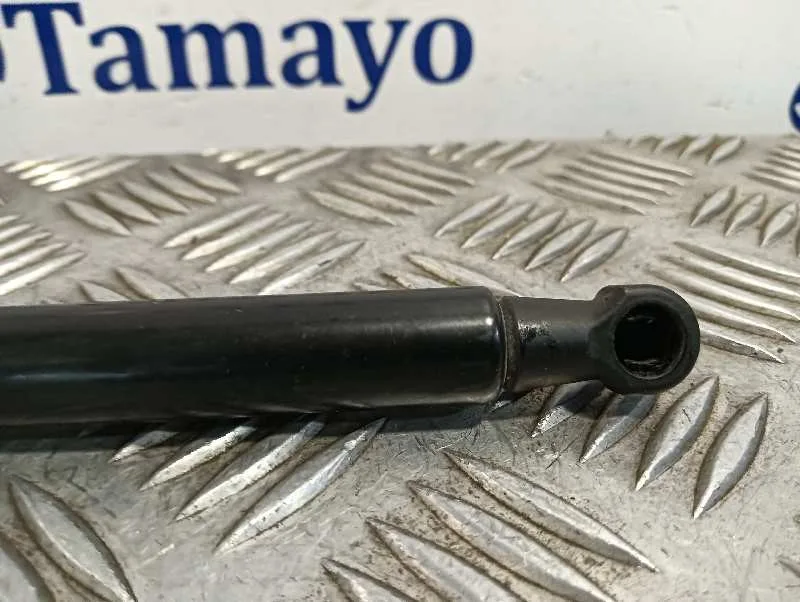Amortiguadores Maletero / Porton para Nissan Juke (F15)