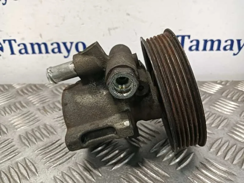 Bomba Direccion para Seat Toledo (1M2)