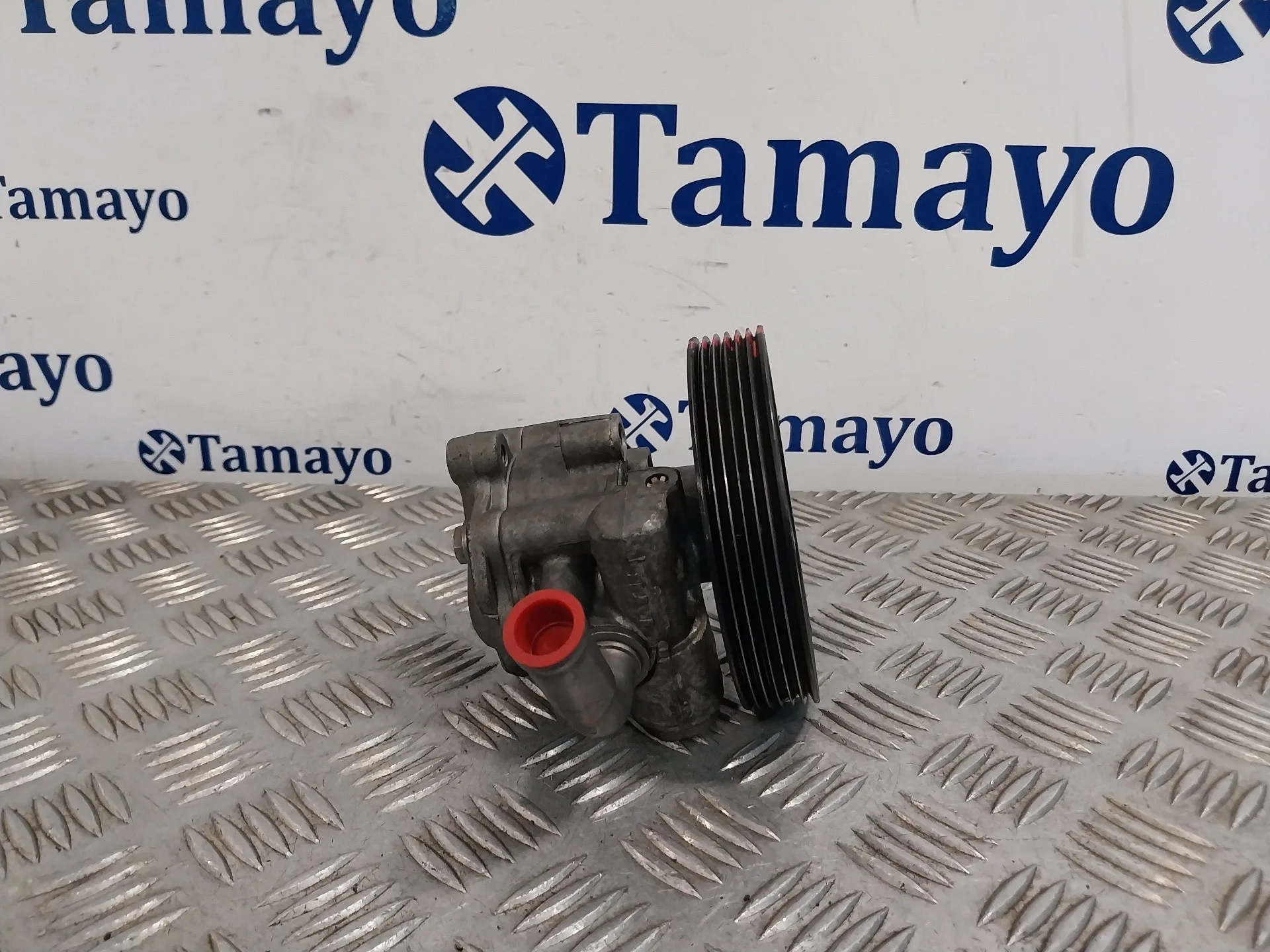 Bomba Direccion para Ford Fiesta (Cbk)