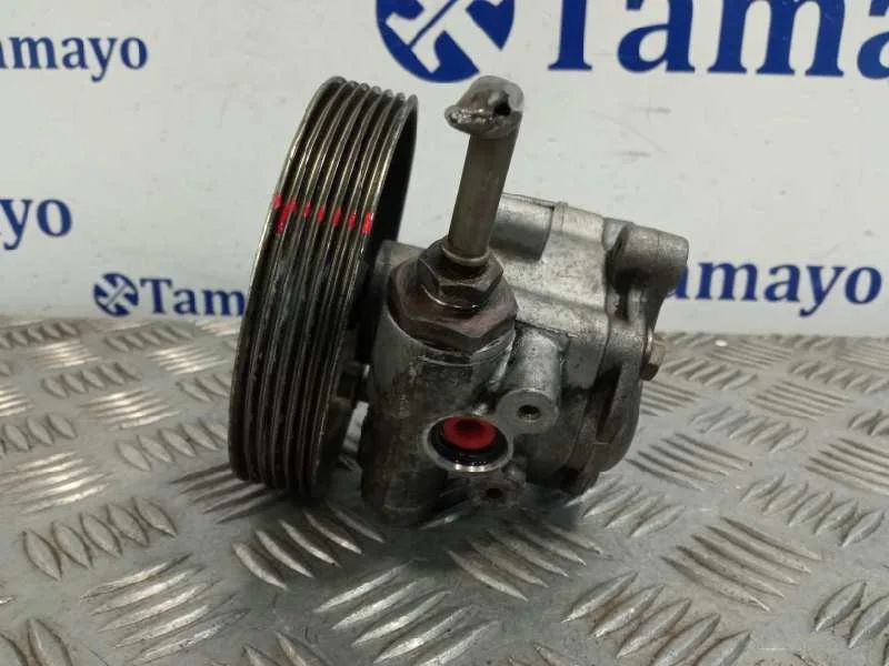 Bomba Direccion para Ford Fusion (Cbk)