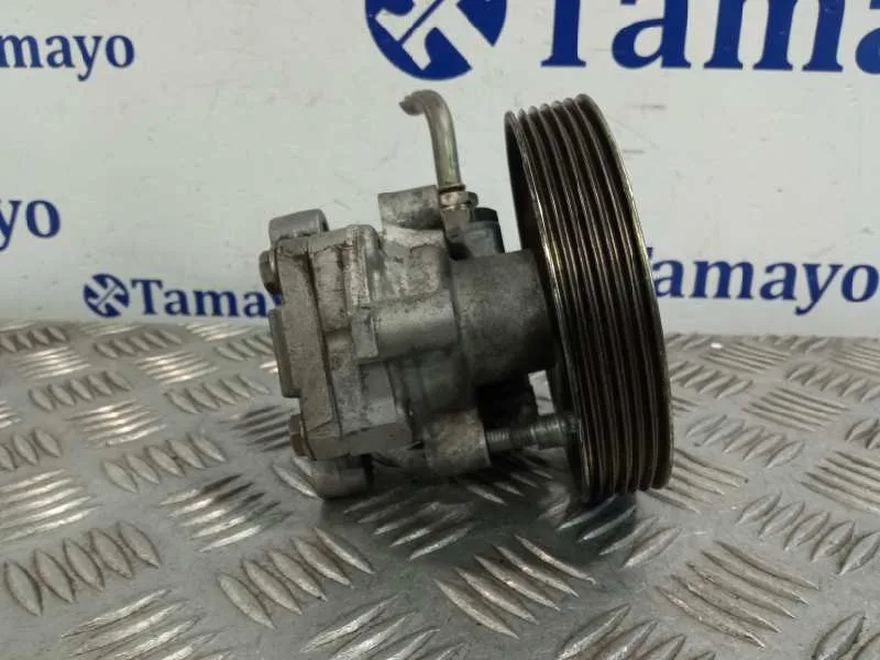 Bomba Direccion para Ford Fusion (Cbk)
