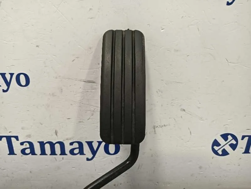 Pedal Acelerador para Renault Kangoo (F/Kc0)