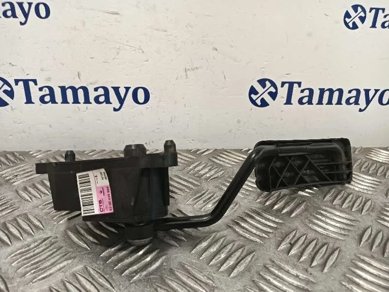 Pedal Acelerador para Renault Kangoo (F/Kc0)