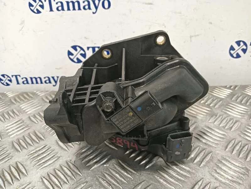 Caja Mariposa para Renault Scenic Iii (Jz0/1_)