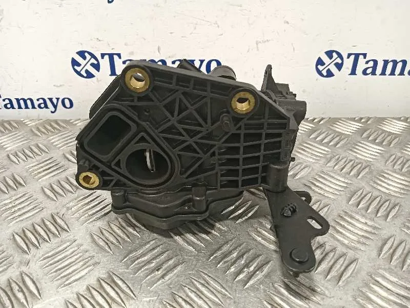 Caja Mariposa para Renault Scenic Iii (Jz0/1_)