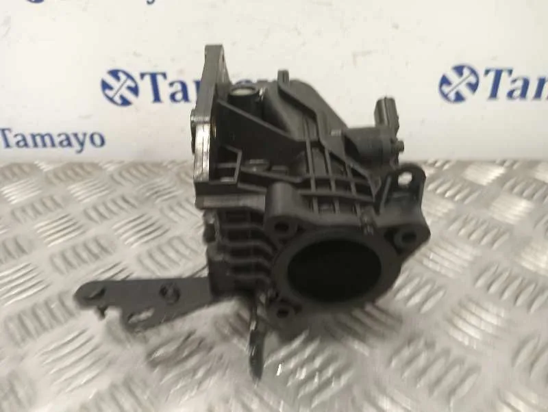 Caja Mariposa para Renault Scenic Iii (Jz0/1_)