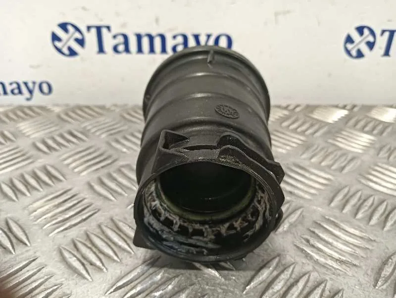 Tubo para Renault Scenic Iii (Jz0/1_)