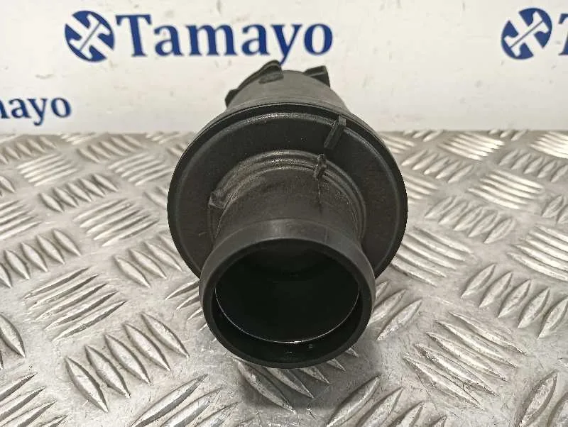 Tubo para Renault Scenic Iii (Jz0/1_)