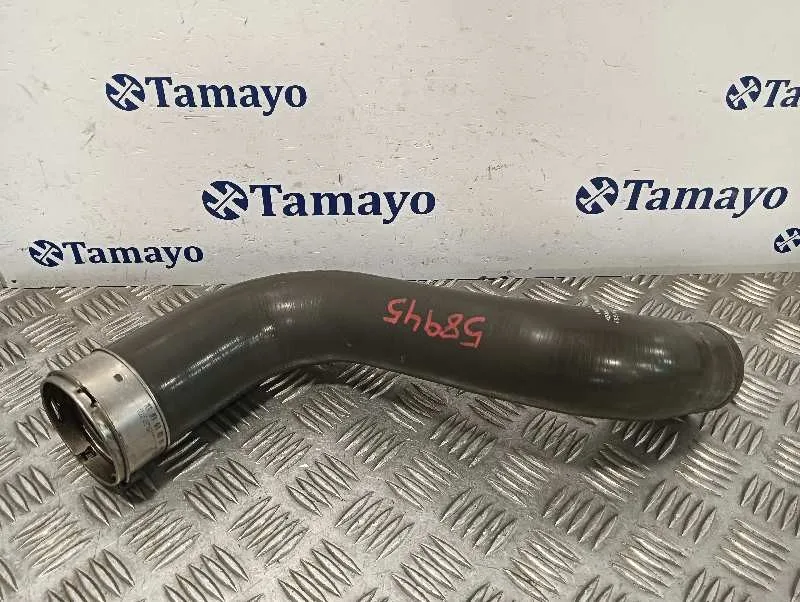 Tubo para Renault Scenic Iii (Jz0/1_)