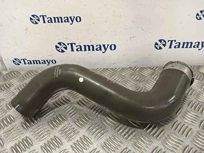 Tubo para Renault Scenic Iii (Jz0/1_)