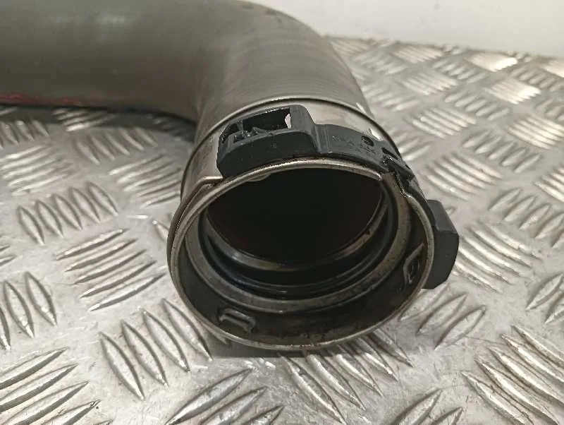 Tubo para Renault Scenic Iii (Jz0/1_)