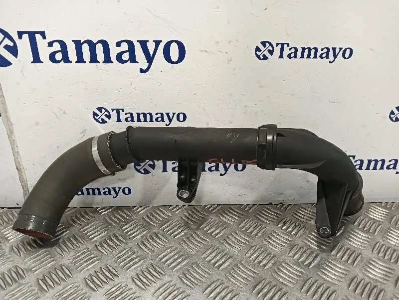 Tubo para Renault Scenic Iii (Jz0/1_)