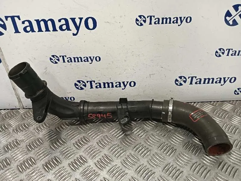 Tubo para Renault Scenic Iii (Jz0/1_)