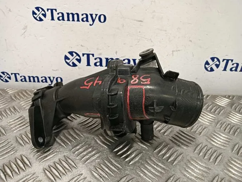 Tubo para Renault Scenic Iii (Jz0/1_)