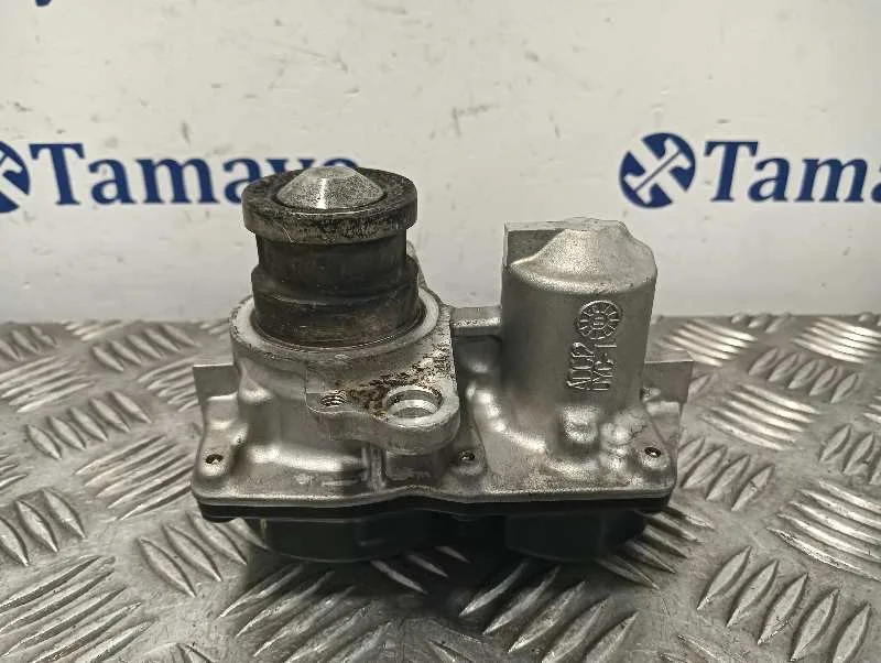 Valvula Egr para Renault Scenic Iii (Jz0/1_)