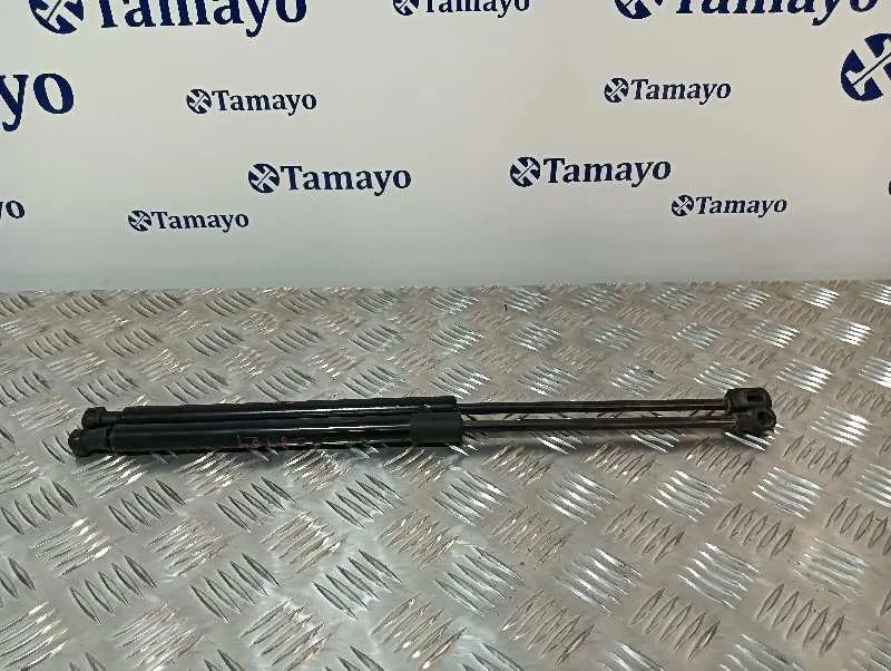 Amortiguadores Maletero / Porton para Toyota Avensis Wagon (T25)
